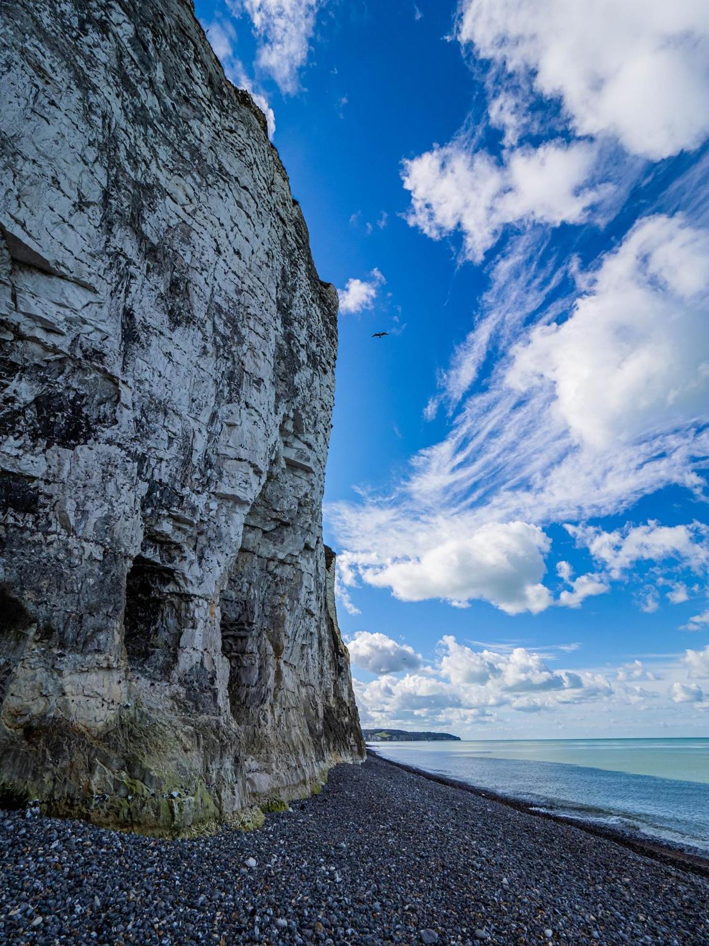 Le Voilier Ensoleille - Proximite Plage & Gare - Confort & Tranquillit Dieppe Dış mekan fotoğraf